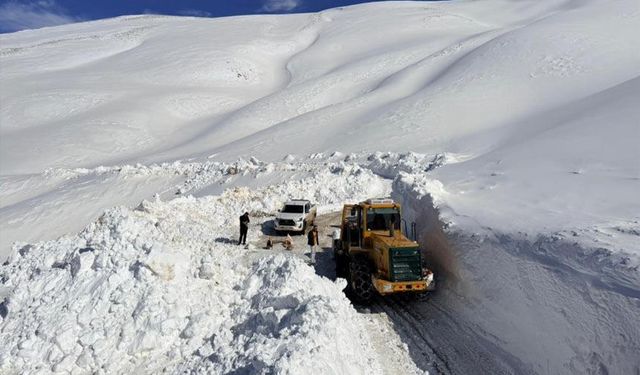 Van'da 3 bin 300 rakımda yol açma seferberliği