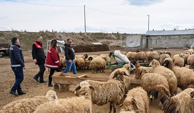 Destek projesi Vanlı çiftçileri sevindirdi