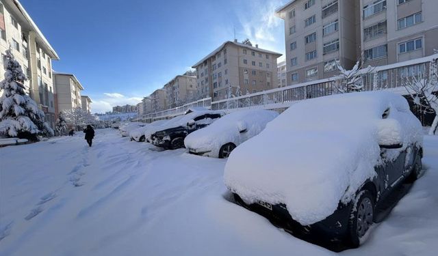 Bahar beklenirken Van'a kar geri döndü