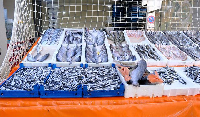 Van’da balığa ilgi arttı! İşte güncel fiyatlar…