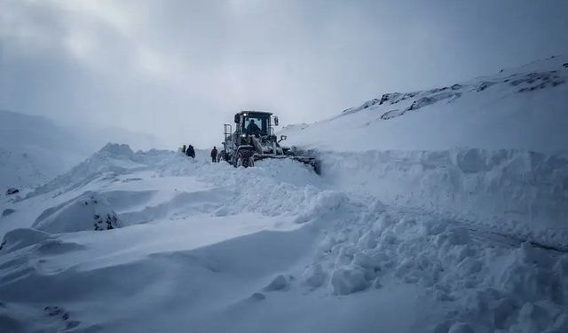 Kar yağdı Van’da 141 yol kapandı!