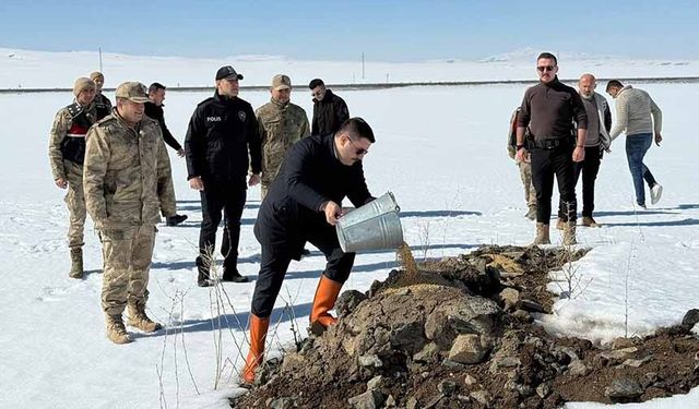 Van'da doğaya yem bırakıldı
