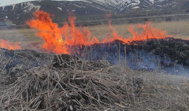 Van'ın Gevaş ilçesinde anız yangını