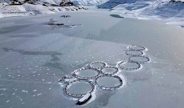 Van'da etkili olan yağışlar barajların doluluk oranını artırdı