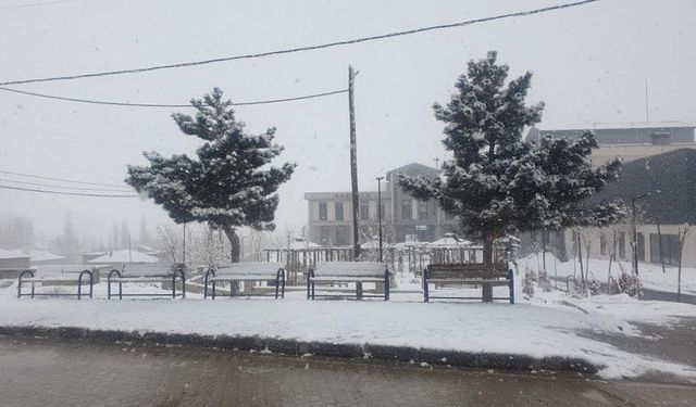 Başkale'de kar yağışı