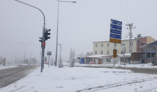 Başkale'de kar yağışı