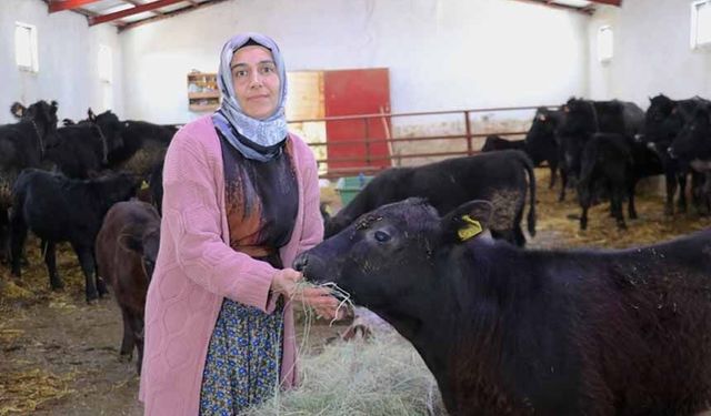 Van'da kadın çiftçi 5 ayda hayvan sayısını ikiye katladı