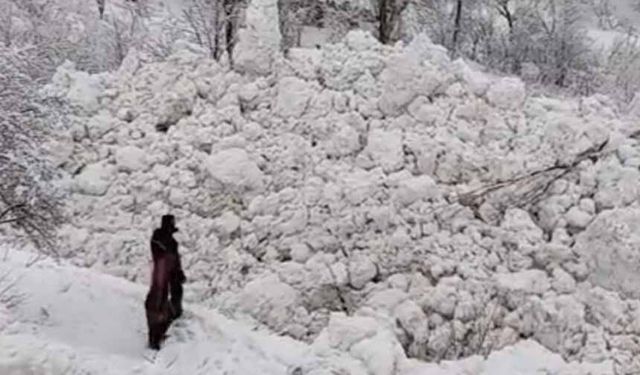 Yüksekova’da aynı bölgede ikinci çığ