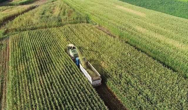 Kırsalda kalkınma 65,5 milyar liralık yatırımla desteklenecek