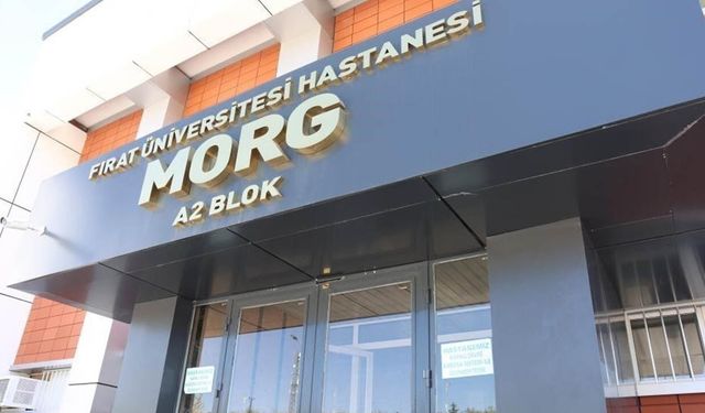 Yeğenlerinin darp ettiği yaşlı adam yaşamını yitirdi