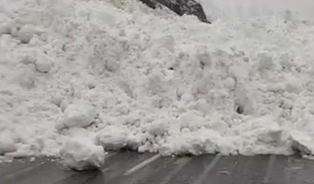 Hakkâri-Çukurca kara yoluna çığ düştü