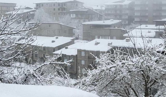 Hakkari’de kar yağışı hayatı olumsuz etkiliyor