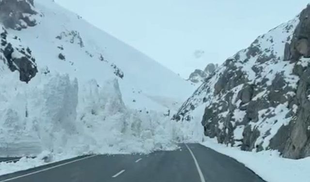 Van-Hakkari karayoluna çığ düştü