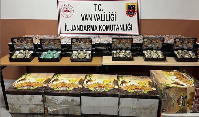 Van’da gümrük kaçakçılığı operasyonu