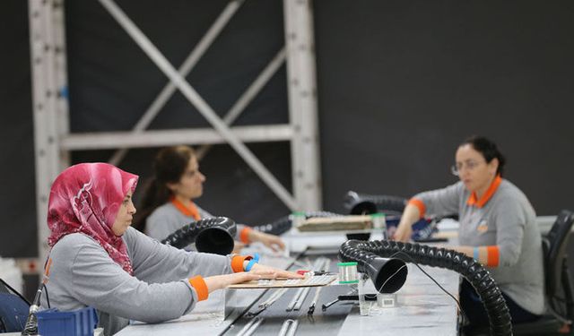 Van’da kadın istihdamı ülke ortalamasının altında!