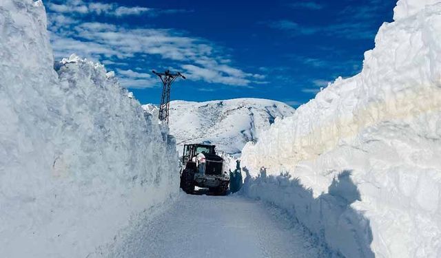 Hakkari'de kapanan tüm köy ve mezra yolları yeniden açıldı