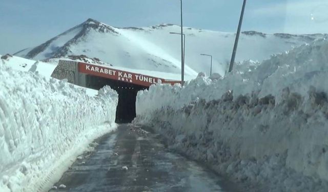 Türkiye'de kar rekoru Van'da!
