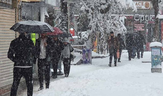 Van'da baharı beklerken kar kapıya dayandı
