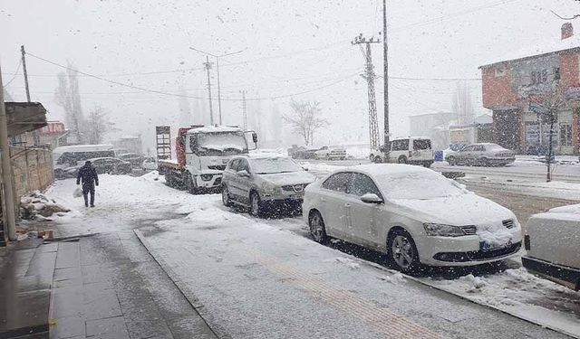 Başkale'de kar yağışı