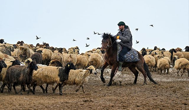 Van'ın kırsal mahallelerinde karla mücadele sürüyor