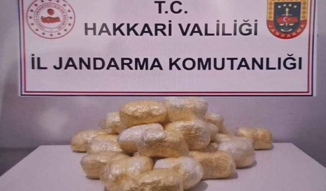 Hakkari'de tırda 15 kilo 263 gram metamfetamin ele geçirildi