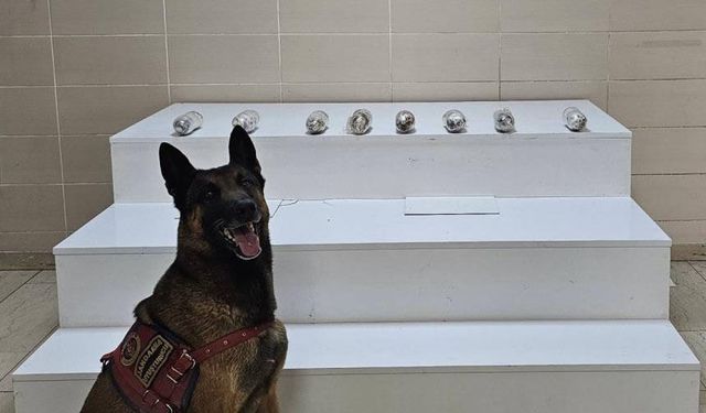 Van’da uyuşturucu madde ele geçirildi