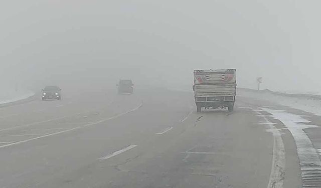 Van'da sis ve kar yağışı yüksek kesimlerde etkili oluyor