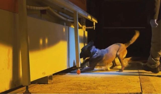 Van'da çekici ve dorsesinde 68 kilo skunk ele geçirildi