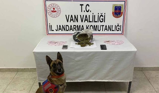Van’da 1 kilo 64 gram skunk maddesi ele geçirildi