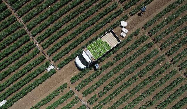 Tarımsal girdi fiyat endeksi arttı