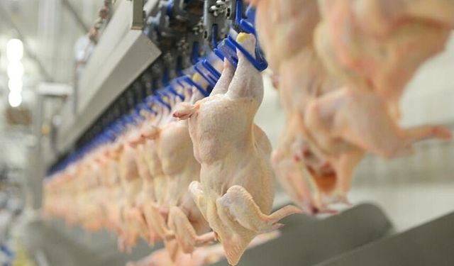 Bayram öncesi tavuk fiyatları yükseldi: 48 saatte yüzde 25 zam