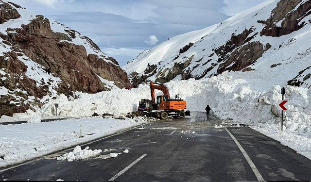 Baharı beklerken Van’da çok sayıda yol ulaşıma kapandı!