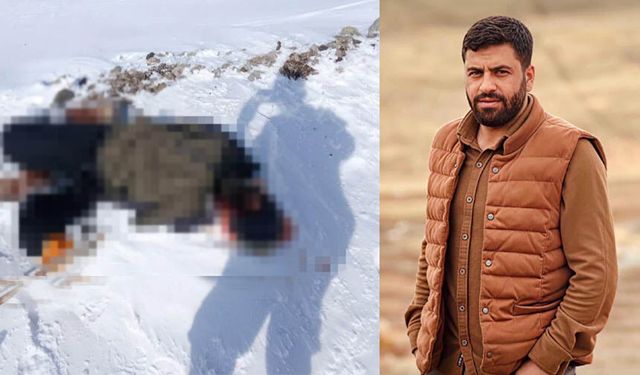 Van'da erkek cesedi bulundu