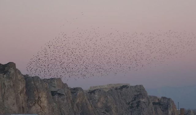 Van Kalesi'nde eşsiz bir gösteri
