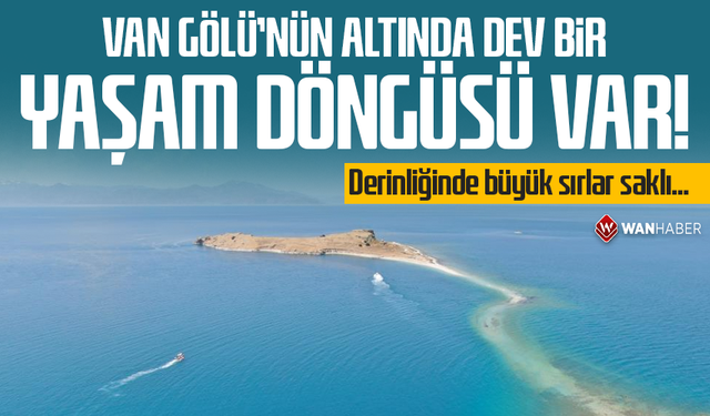 Van Gölü'nün altında dev bir yaşam döngüsü var! Derinliğinde büyük sırlar saklı...
