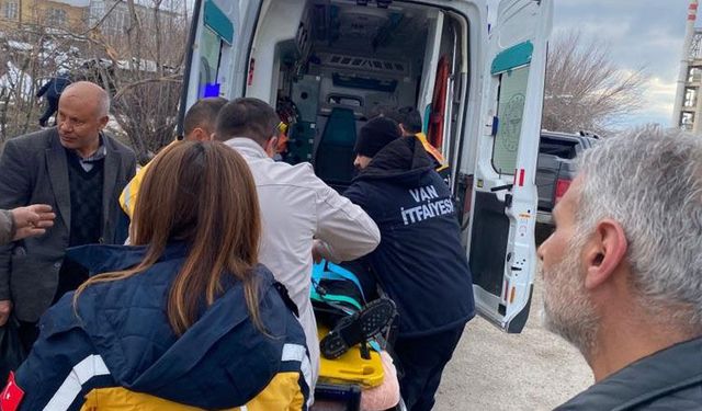 Van'da kamyonet devrildi: 2 yaralı