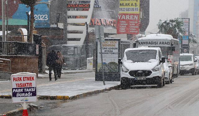 Van'da mart ayının sonunda kar yağışı