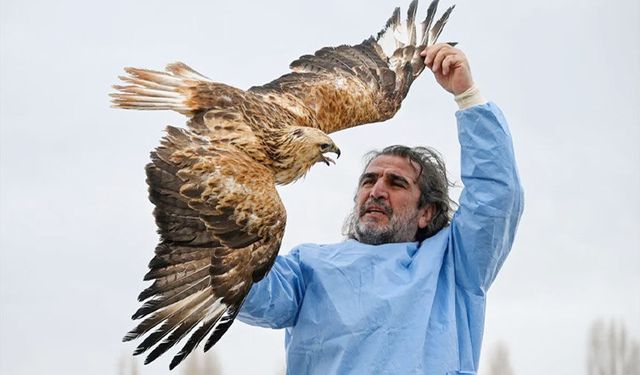 Yırtıcı kuşlar Van'daki merkezde yapılan tedaviyle hayata tutunuyor