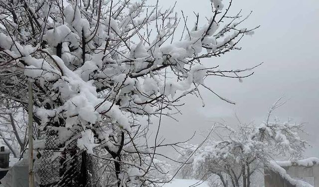 Hakkari’de 82 yerleşim yerinin yolu kapandı