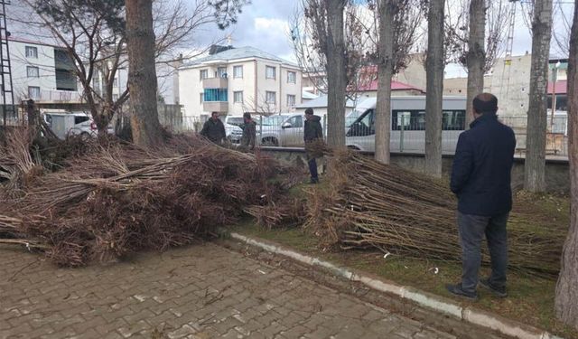 Van'da yüzde 90 hibeli 50 bin adet meyve fidanı dağıtımı yapıldı