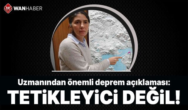 Uzmanından önemli Van depremi açıklaması: Tetikleyici değil!