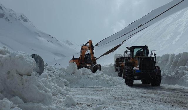 Bahçesaray yolunda çalışma yeniden başladı