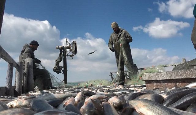 Van’da yasak başladı: Avlamıyoruz, satmıyoruz, tüketmiyoruz!