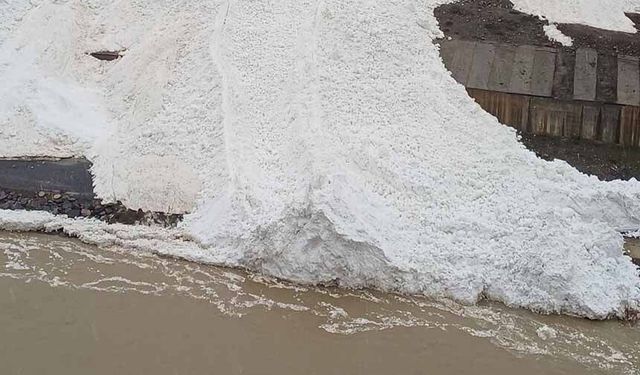 Hakkâri'de çığ: Zap Suyu'nun önünü kesti