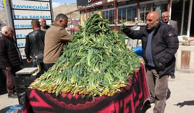 Dağlardan sofralara! Van'da çiriş otunun kilosu 100 TL'den satılıyor