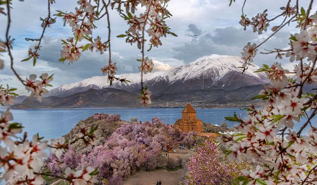 Van’da foto safari kayıtları başladı