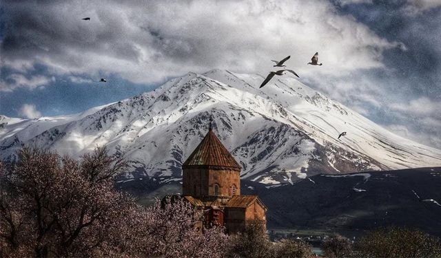 Van’da foto safari yarışmasının sonuçları açıklandı