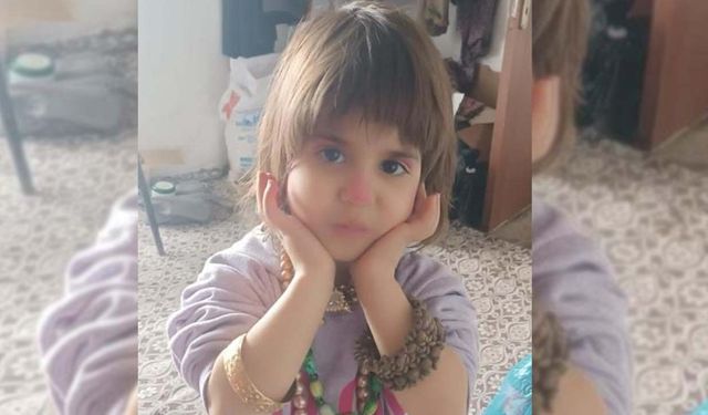 Hizan'da kaybolan 4 yaşındaki çocuk aranıyor