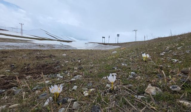 Van'da iki mevsim bir arada