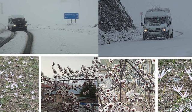 Van'da iki mevsim bir arada: Bir yanda bahar, diğer yanda kış